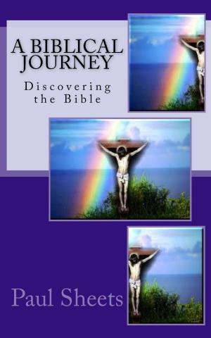 Cover of the book A Biblical Journey by Cheryl Bruder