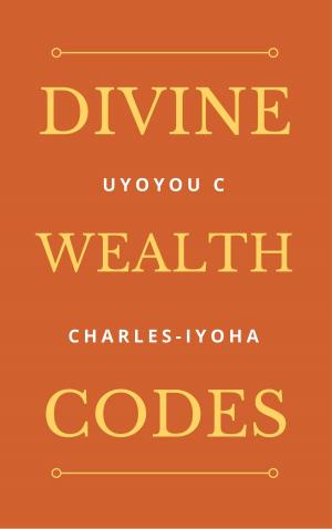 Cover of the book Divine Wealth Codes by Steven Oliver