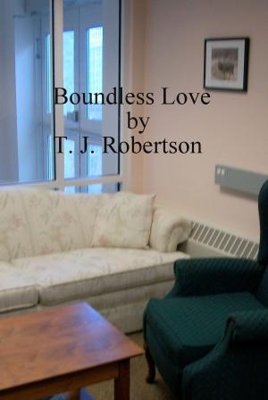 Cover of the book Boundless Love by Robin Rance