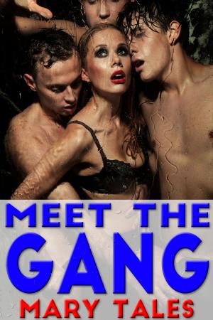 Cover of Meet The Gang