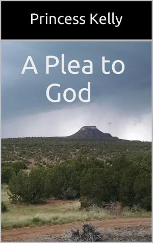 Cover of the book A Plea to God by Meno Silencio