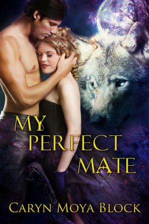 Cover of the book My Perfect Mate by Caryn Moya Block
