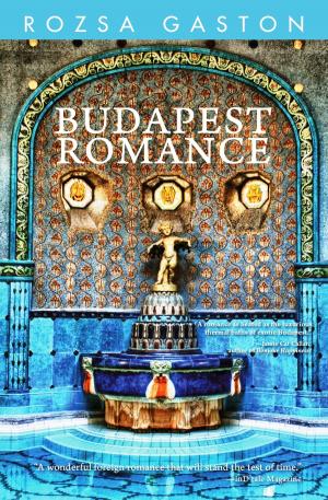 Cover of the book Budapest Romance by D A Latham
