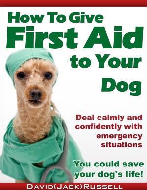 Book cover of How To Give First Aid To Your Dog