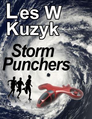 Cover of the book Storm Punchers by David Bevis