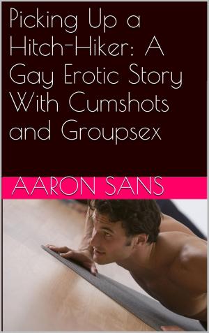 Cover of the book Picking Up a Hitch-Hiker: A Gay Erotic Story With Cumshots and Groupsex by Sarah Hung
