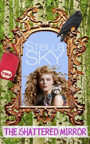 Cover of the book Stella Sky: The Shattered Mirror by Holly Lisle