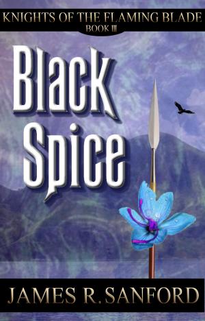 Cover of the book Black Spice (Knights of the Flaming Blade #3) by Janeal Falor