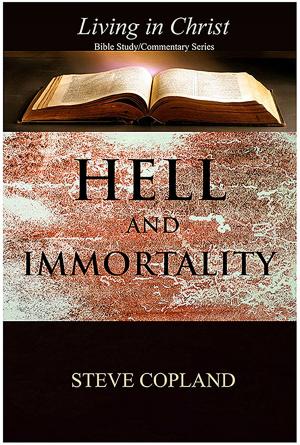 Book cover of Hell and Immortality