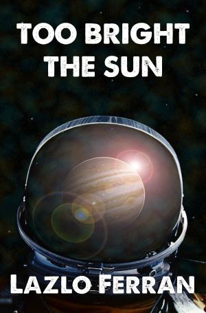 Cover of the book Too Bright the Sun by CC Rose
