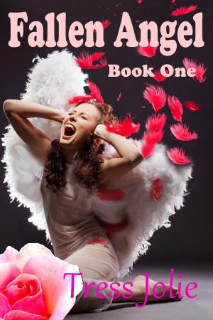 Cover of the book Fallen Angel: Book One by Rose Summer