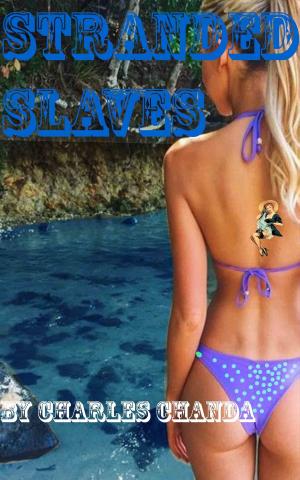 Cover of the book Stranded Slaves by Ashlynn Aimes