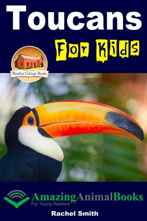 Cover of the book Toucans For Kids by Mendon Cottage Books