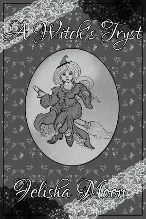Cover of the book A Witch's Tryst by Felisha Moon