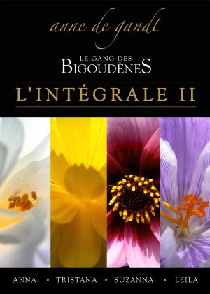 Book cover of Le Gang des bigoudènes: L'Intégrale II