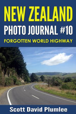 Cover of the book New Zealand Photo Journal #10: Forgotten World Highway by Scott David Plumlee