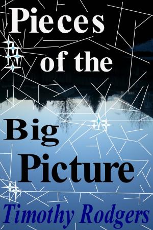 Cover of the book Pieces of the Big Picture: Poetry by D.R. Perry