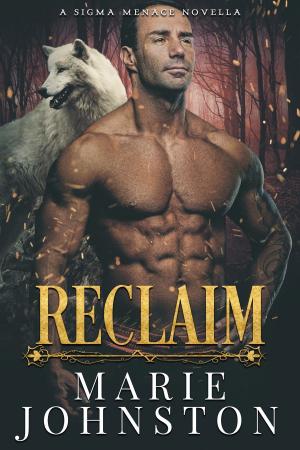 Cover of the book Reclaim by Susan Bischoff