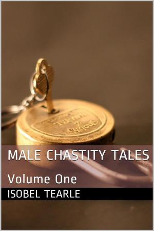 Book cover of Male Chastity Tales: Volume One (Femdom, Chastity)