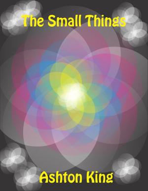 Cover of the book The Small Things by Carmen S.
