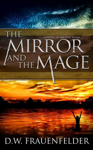 Book cover of The Mirror and the Mage