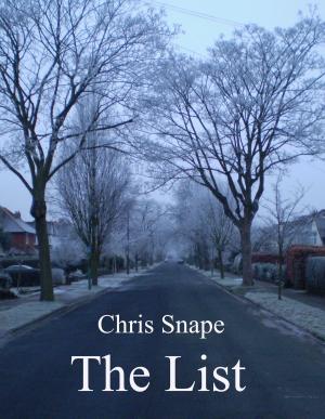 Cover of the book The List by Luanne Oleas