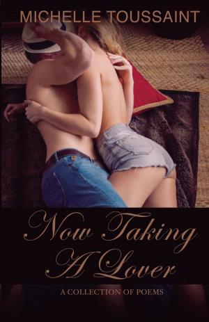 Cover of the book Now Taking A Lover by Martha Wickham