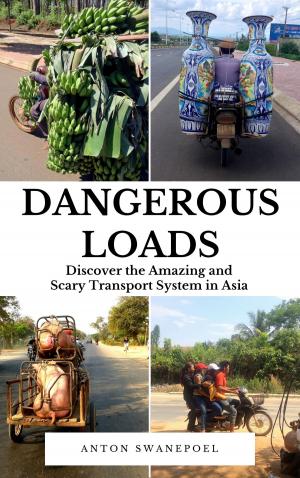 Cover of the book Dangerous Loads by Brian leaf