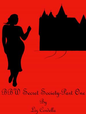Book cover of BBW Secret Society-Part One