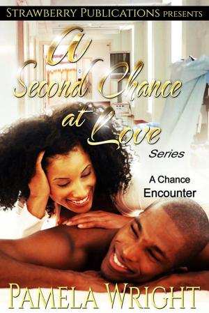Cover of the book A Second Chance at Love: A Chance Encounter by Catrina Taylor