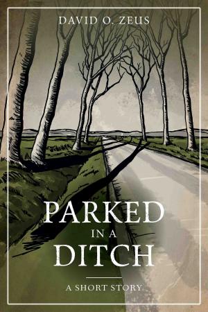Book cover of Parked in a Ditch