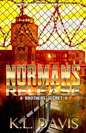 Book cover of Norman's Release (A Brothers Secret 2)