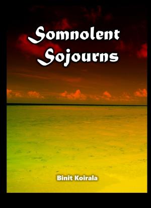 Cover of the book Somnolent Sojourns by K. A. Cook