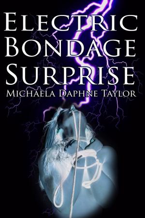 Cover of the book Electric Bondage Surprise by Gabrielle Queen