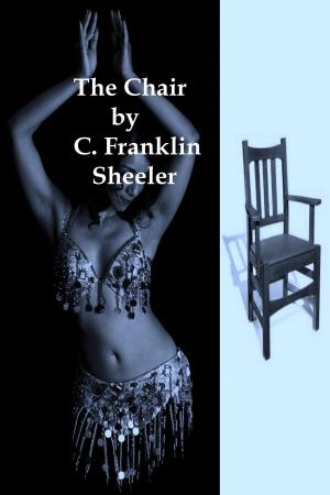 Cover of the book The Chair by Storm Stone
