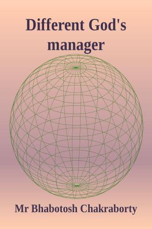 Cover of Different God's manager