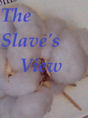 Cover of The Slave's View