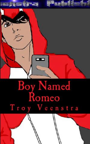 Cover of the book Boy Named Romeo by Teresa Madaleno