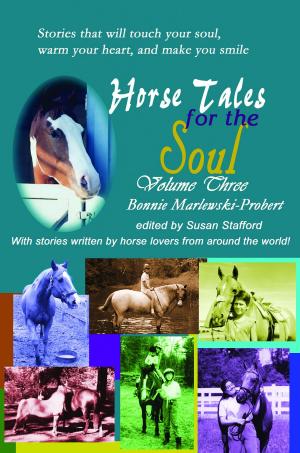 Cover of Horse Tales for the Soul, Volume 3