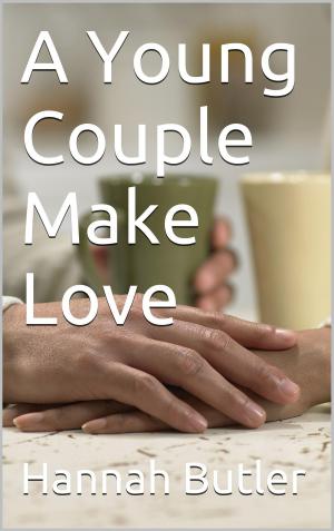 Cover of the book A Young Couple Make Love by Sèphera Girón