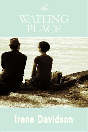 Cover of the book The Waiting Place by Xio Axelrod