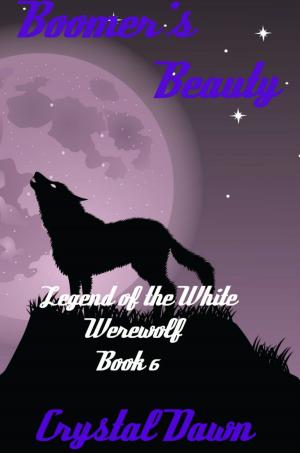 Cover of the book Boomer's Beauty by M.L. Lacy