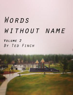 Cover of the book Words Without Name Volume 2 by Manuela Cardiga