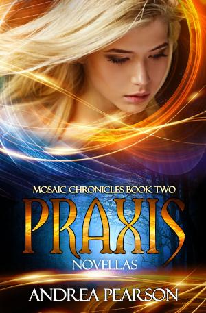 Cover of the book Praxis Novellas, Mosaic Chronicles Book Two by GoMadKids, Noreen Wainwright