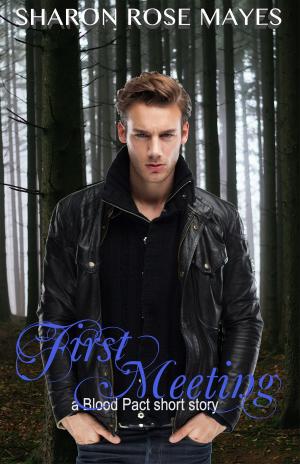 Cover of the book First Meeting: A Blood Pact Short Story by Gabi Anderson