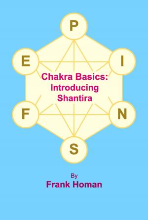 Book cover of Chakra Basics: Introducing Shantira