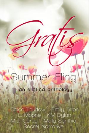Cover of the book Gratis : Summer Fling by Annette Blair
