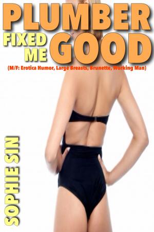 Cover of the book Plumber Fixed Me Good by L.V. Lloyd