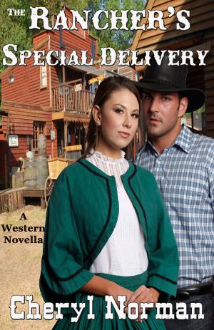 Book cover of The Rancher's Special Delivery