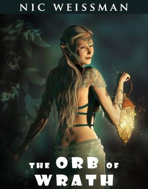 Cover of the book The Orb of Wrath by Tyler Edwards